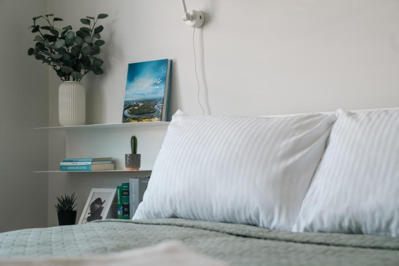 Grey Green Studio Apartment Бирштонас Экстерьер фото